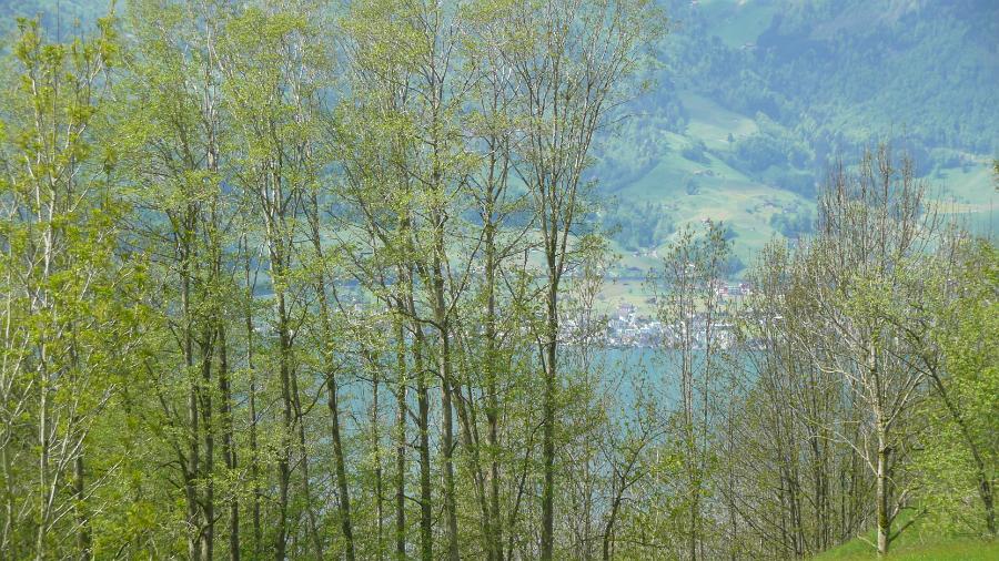 Aussicht
